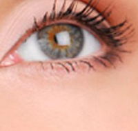 Cinnamon Stix Hair  Day Spa - Accommodation Guide