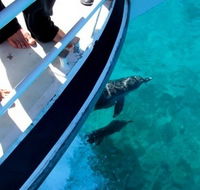 Pelican Charters - Accommodation Guide