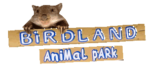 Birdland Animal Park - Accommodation Asia 0