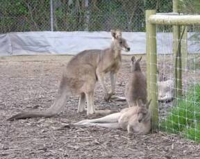 Weering VIC Accommodation China