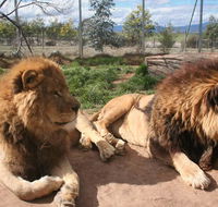 Mansfield Zoo - Accommodation Guide