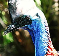 Alma Park Zoo - Accommodation Guide