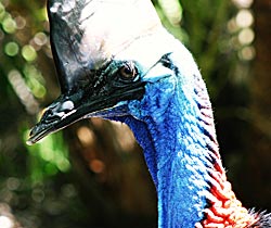 Alma Park Zoo - Accommodation China 0