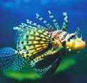 Underwater World - Accommodation Guide