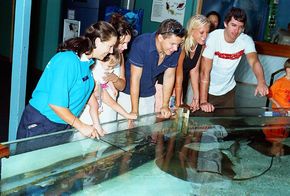 Underwater World - Accommodation Guide 3