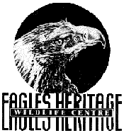 Eagles Heritage - Accommodation Guide