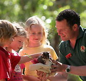 Cleland Wildlife Park - Accommodation Guide