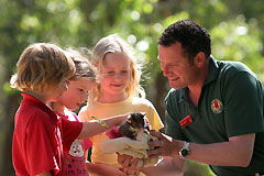 Cleland Wildlife Park - Accommodation Asia 0