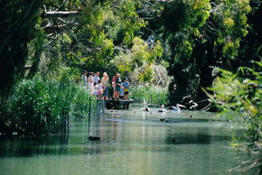Cleland Wildlife Park - Accommodation Asia 1