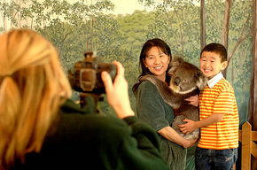Cleland Wildlife Park - Accommodation Asia 2