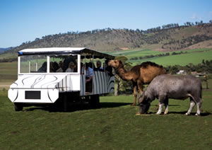 Zoo Doo Wildlife Park - Accommodation Guide 2