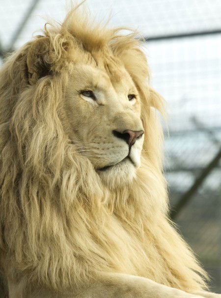 Zoo Doo Wildlife Park - Accommodation Guide 3