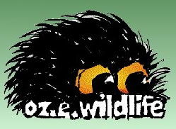  Accommodation Guide