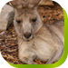 Bossley Park NSW Accommodation Asia