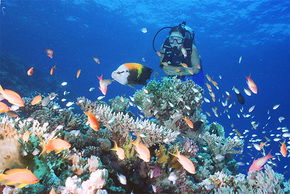 Airlie Beach QLD Accommodation Guide
