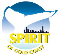 Spirit of Gold Coast Whale Watching - Accommodation Guide