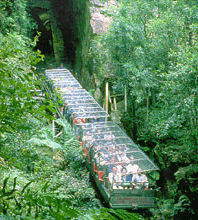 Scenic World Blue Mountains - Accommodation Asia 3