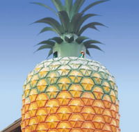 The Big Pineapple - Accommodation Guide