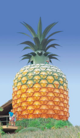 The Big Pineapple - Accommodation Guide 0