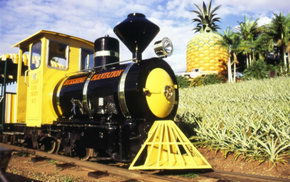 The Big Pineapple - Accommodation Guide 3