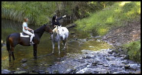 Glenworth Valley Horseriding - Accommodation Asia 1