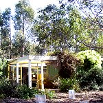 Koala Conservation Centre - Accommodation China 1