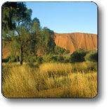 Yuelamu NT Accommodation Asia
