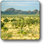 Uluru - Kata Tjuta National Park - Accommodation Asia 2