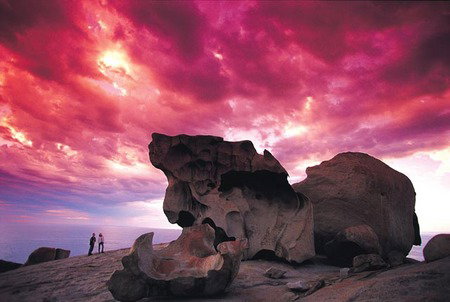 Kangaroo Island Adventure Tour 2 Day/1 Night - Accommodation China 0