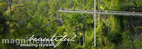 Rainforest Skywalk - Accommodation Asia 2