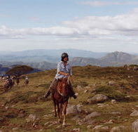 High Country Horses - Accommodation Asia