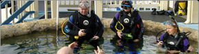 Scuba World - Accommodation Guide 2