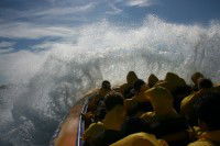 Jetboating Sydney - Accommodation Asia 1