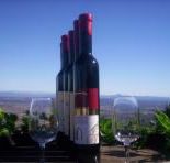 Mount Tamborine Winery  Homestead - Accommodation Guide
