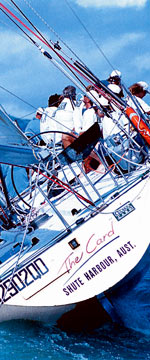 Koala Adventures - Accommodation Guide 1