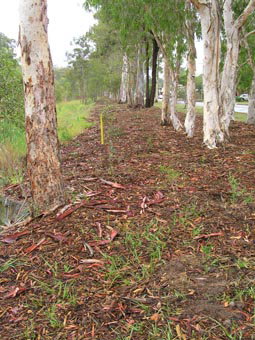 Kumbartcho Sanctuary - Accommodation Guide 1