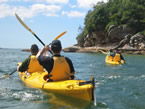 Sydney Harbour Kayaks - Accommodation Guide 1