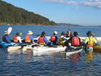 Sydney Harbour Kayaks - Accommodation Guide 2