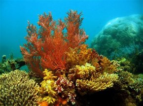North West Cape WA Accommodation Guide