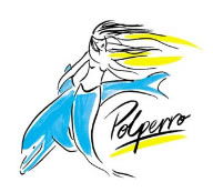 Polperro Dolphin Swims - Accommodation Guide 0