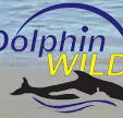 Dolphin Wild - Accommodation Guide
