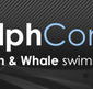 Dolphcom - Dolphin  Whale Swimming Adventures - Accommodation Asia