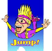 Aerial Skydiving - Accommodation Guide 0