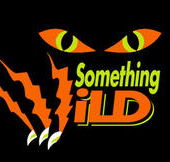 Something Wild - Accommodation Guide