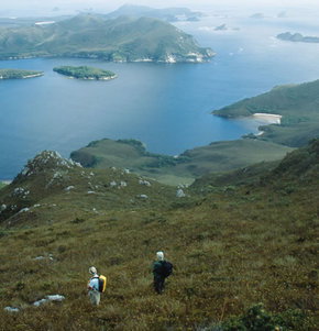 Roaring 40s Kayaking - Accommodation China 1