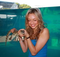 Crocosaurus Cove - Accommodation China