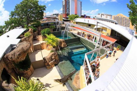 Crocosaurus Cove - Accommodation Guide 1