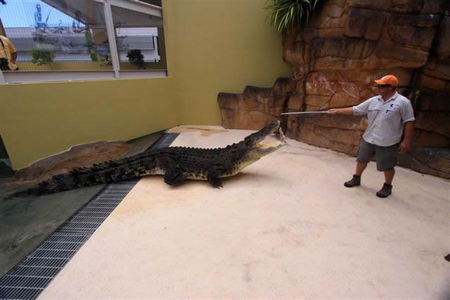 Crocosaurus Cove - Accommodation Guide 2