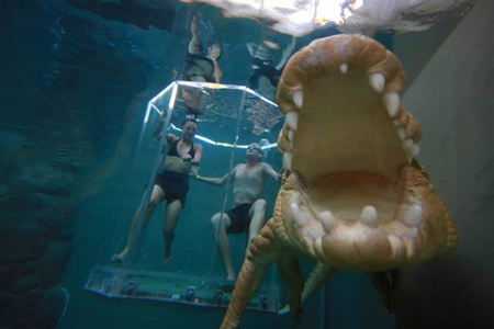Crocosaurus Cove - Accommodation Guide 3