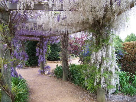 Abingdon Miniature Village - Accommodation Guide 0